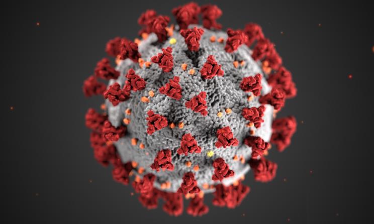 Le nouveau coronavirus a perturbé presque toutes les industries, y compris l'industrie de la musique.