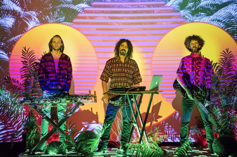 (Photo) : le groupe Afrodelic sur scène.
