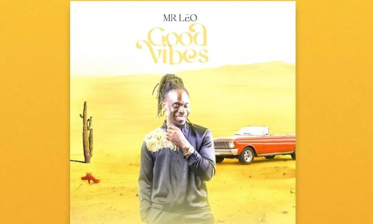 Pochette du nouvel album de l'artiste camerounais Mr Leo