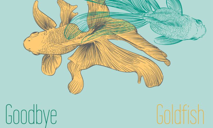As the closing track on the EP, ‘Goodbye Goldfish’ serves as a fitting conclusion to M. Rumbi’s journey through love, loss, and self-discovery.