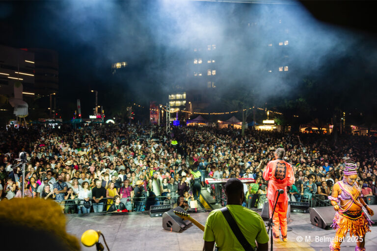 Femi Kuti sur la scène TD - © M. Belmellat